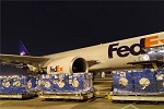 F(lin)f-F(lin)f-ַ-Ԓ-FedEx-Hf