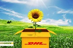 |ݸИ^(zhn)DHL(gu)Hf